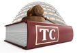 Tribunal Constitucional